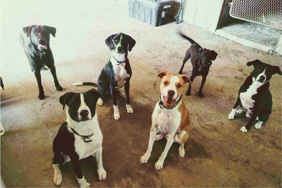 Τώρα ακόμη καλύτερα κρατήματα στον ύπνο