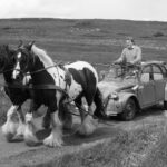 2 CV art 11