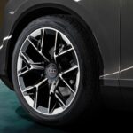 auditroxos (1)