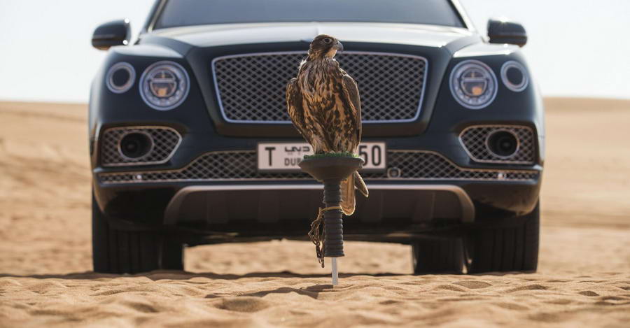 Bentley Bentayga Falconry 29