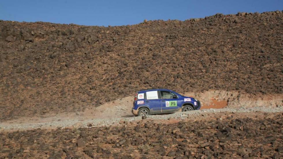Fiat_Panda_Raid_09
