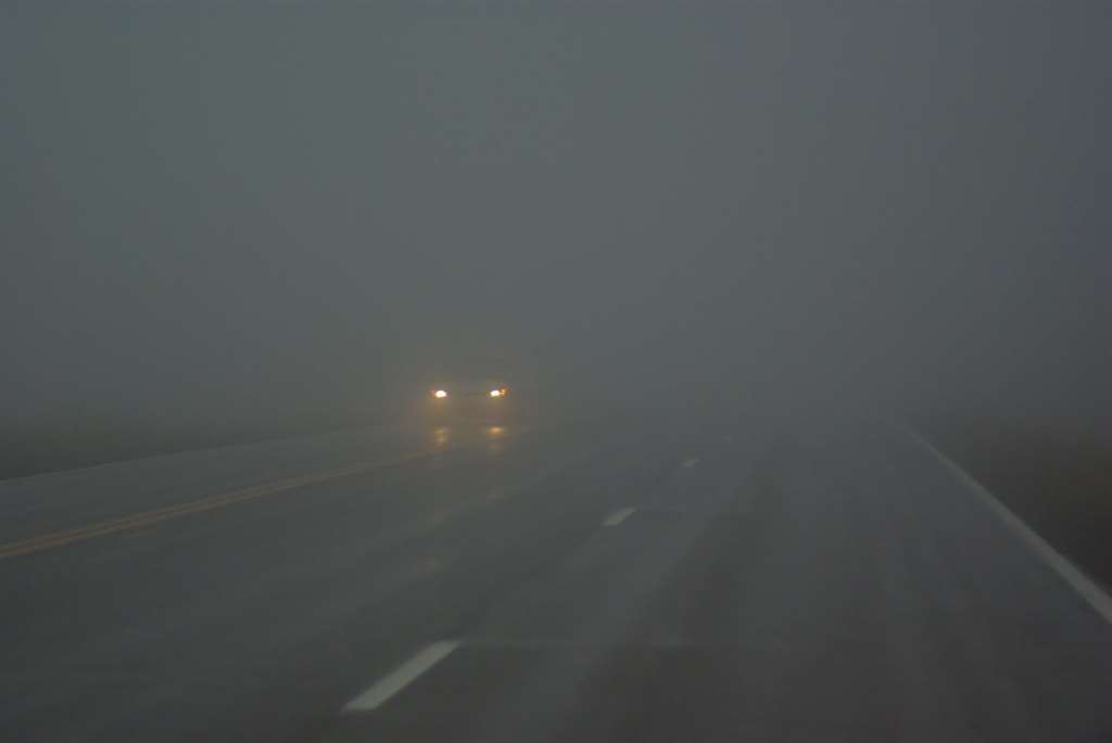 foggy road_ 09