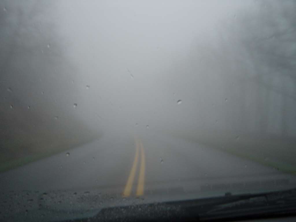 foggy road_ 11