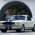 Ford Mustang 10 Mil 18