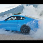 Ford Mustang 10 Mil 21