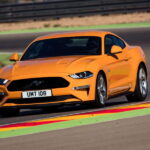 Ford Performance 15