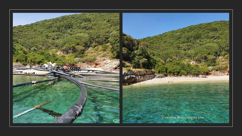 Healthy Seas before_after