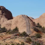 Moab lionsback 16