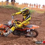 MXPA030509MX2_219