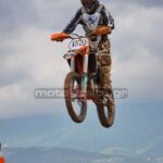MXPA030509MX2_278