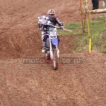 MXPA030509MX2_303