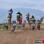 MXPA030509MX2_310