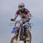 MXPA030509MX2_339