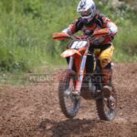 MXPA030509MX2_346
