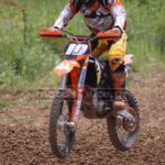 MXPA030509MX2_347