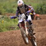 MXPA030509MX2_356
