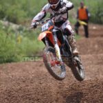 MXPA030509MX2_357