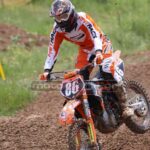 MXPA030509MX2_393