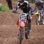 MXPA030509MX2_395