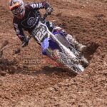 MXPA030509MX2_460
