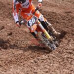 MXPA030509MX2_462