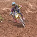 MXPA030509MX2_493