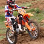 MXPA290309MIN032