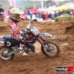 MXPA290309MIN125