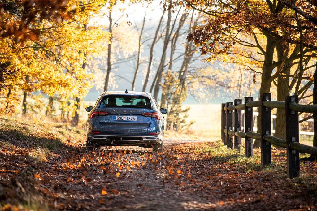 NEA SKODA OCTAVIA SCOUT_04