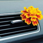 Nissan cabin air filter 12