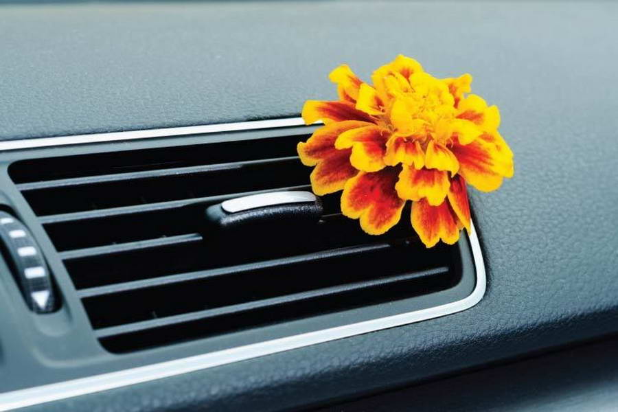 Nissan cabin air filter 12