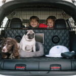 Nissan X Trail 4Dogs 13
