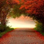 Opel-Pollen-Filters_ 06