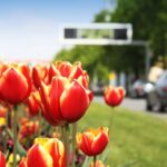Opel-Pollen-Filters_ 07
