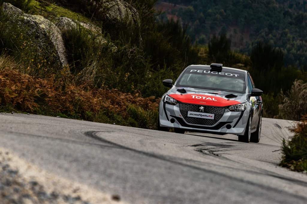 peugeot 208 rally4_06