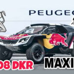 Peugeot 3008 Dakar Maxi 14