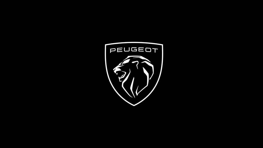Peugeot China_05