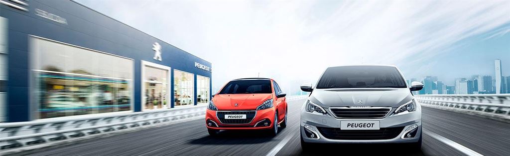 peugeot_easter_chec_ 03