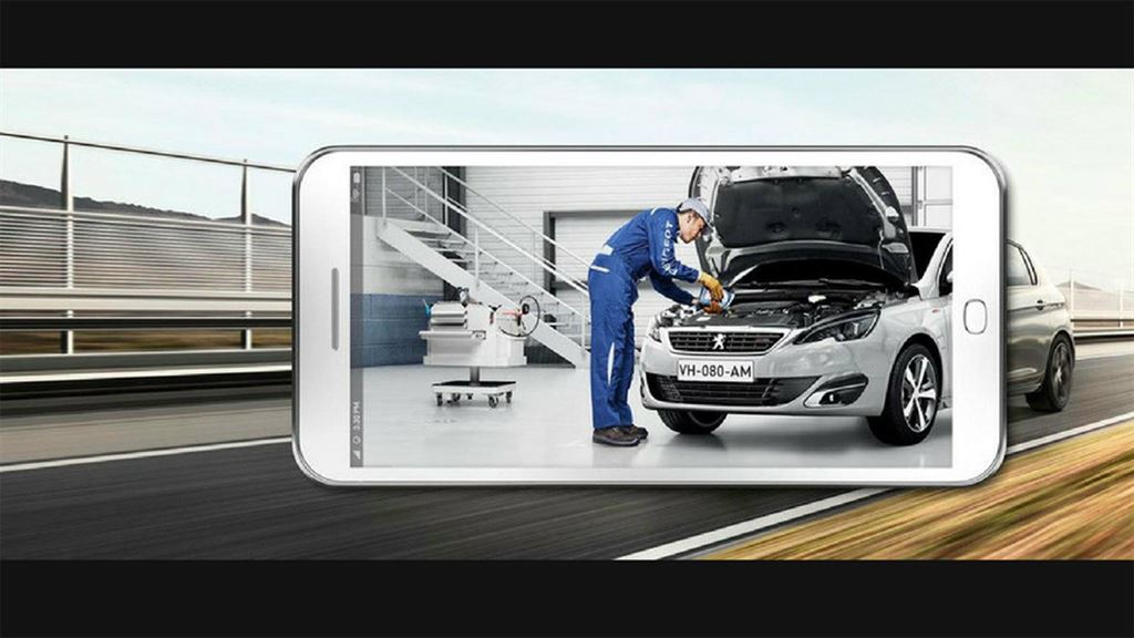 peugeot_easter_chec_ 04