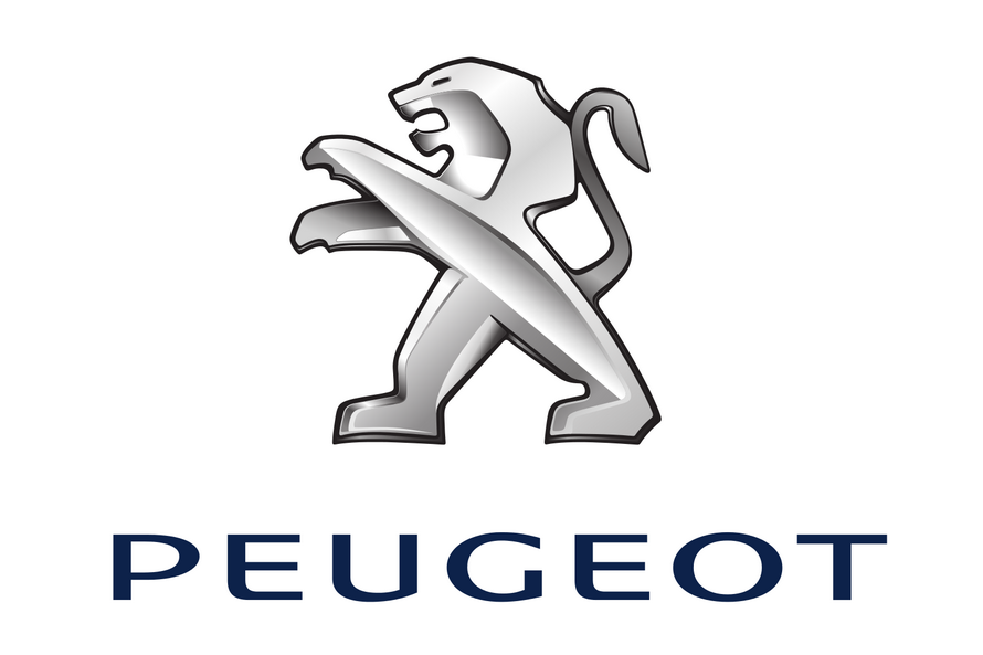 Peugeot spare parts 13