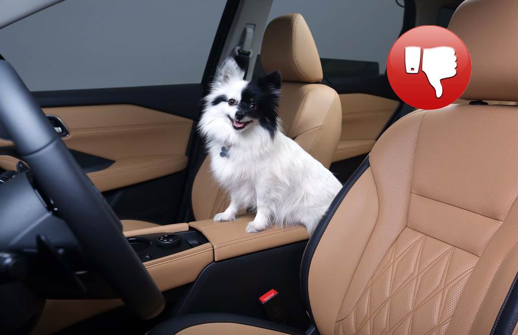 SafePets_03