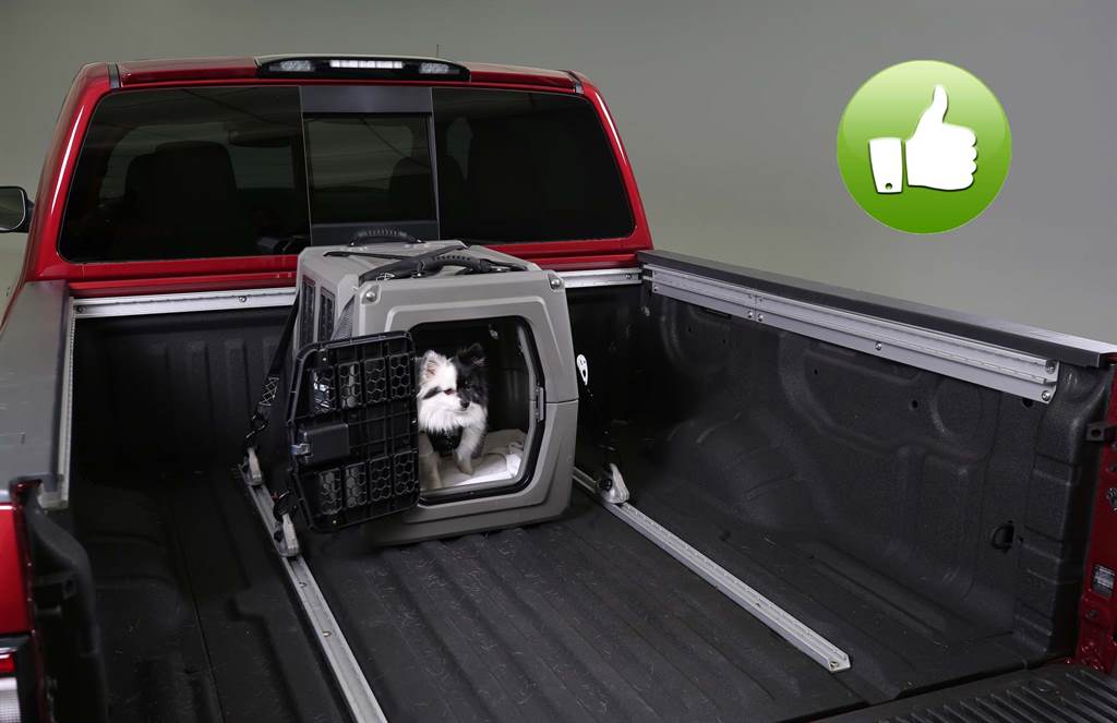 SafePets_04