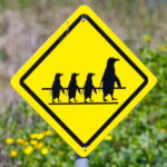sign- 12
