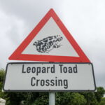 sign- 29