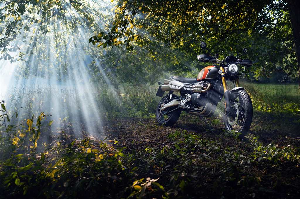 Special Edition Scrambler 1200 XE Gold Line (2)