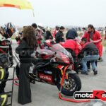 TAPA051204STOCK011