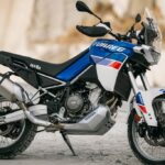 tuareg