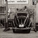 VW-beetle_ 06