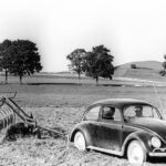 VW Beetle 09